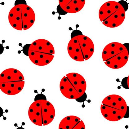 DL01 Red Vinyl fabric